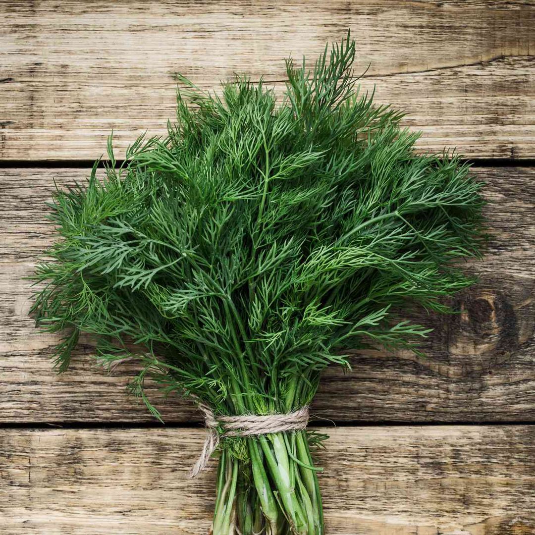 Dill (Sua)