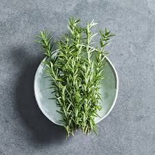 Rosemary