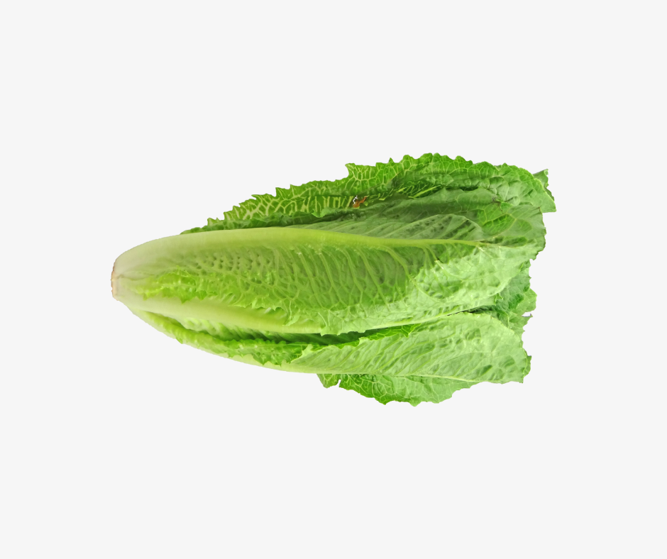 Romain Lettuce. Per Bunch