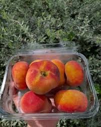 Nectarines. Punnet