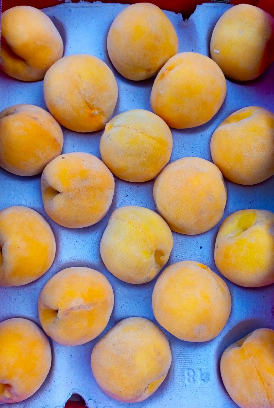Yellow Peaches