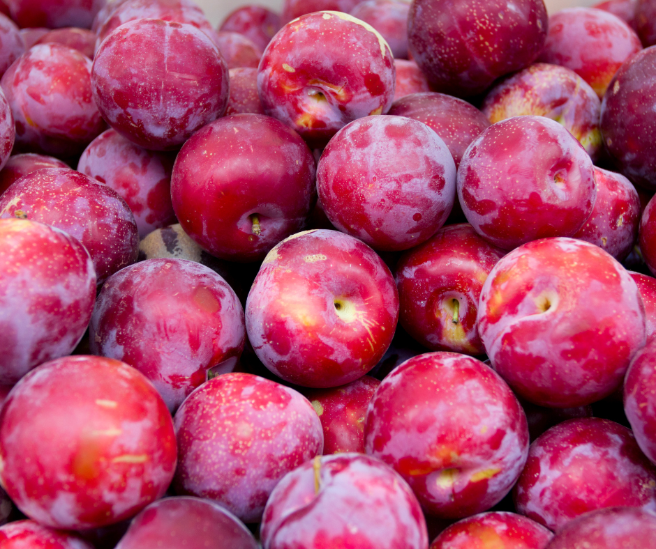 Local Plums