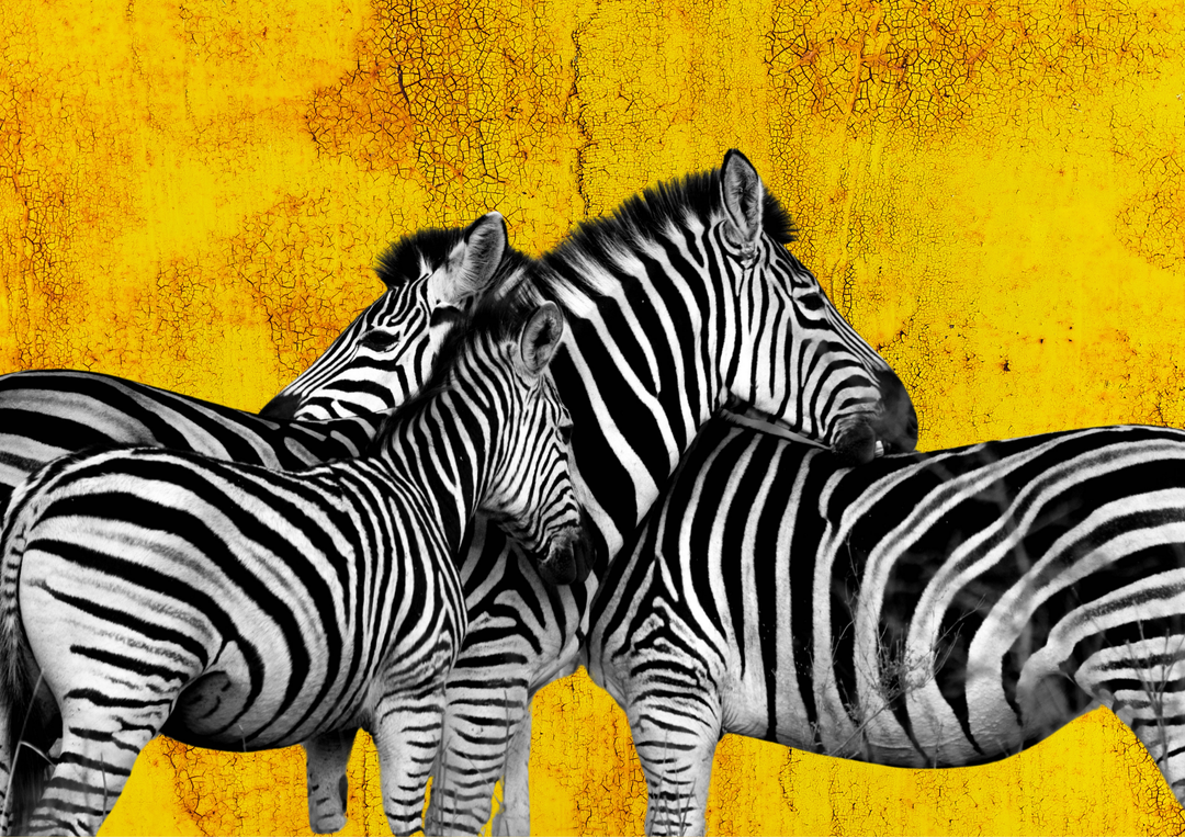 Mapenzi Mwitu "wild love" Swahili