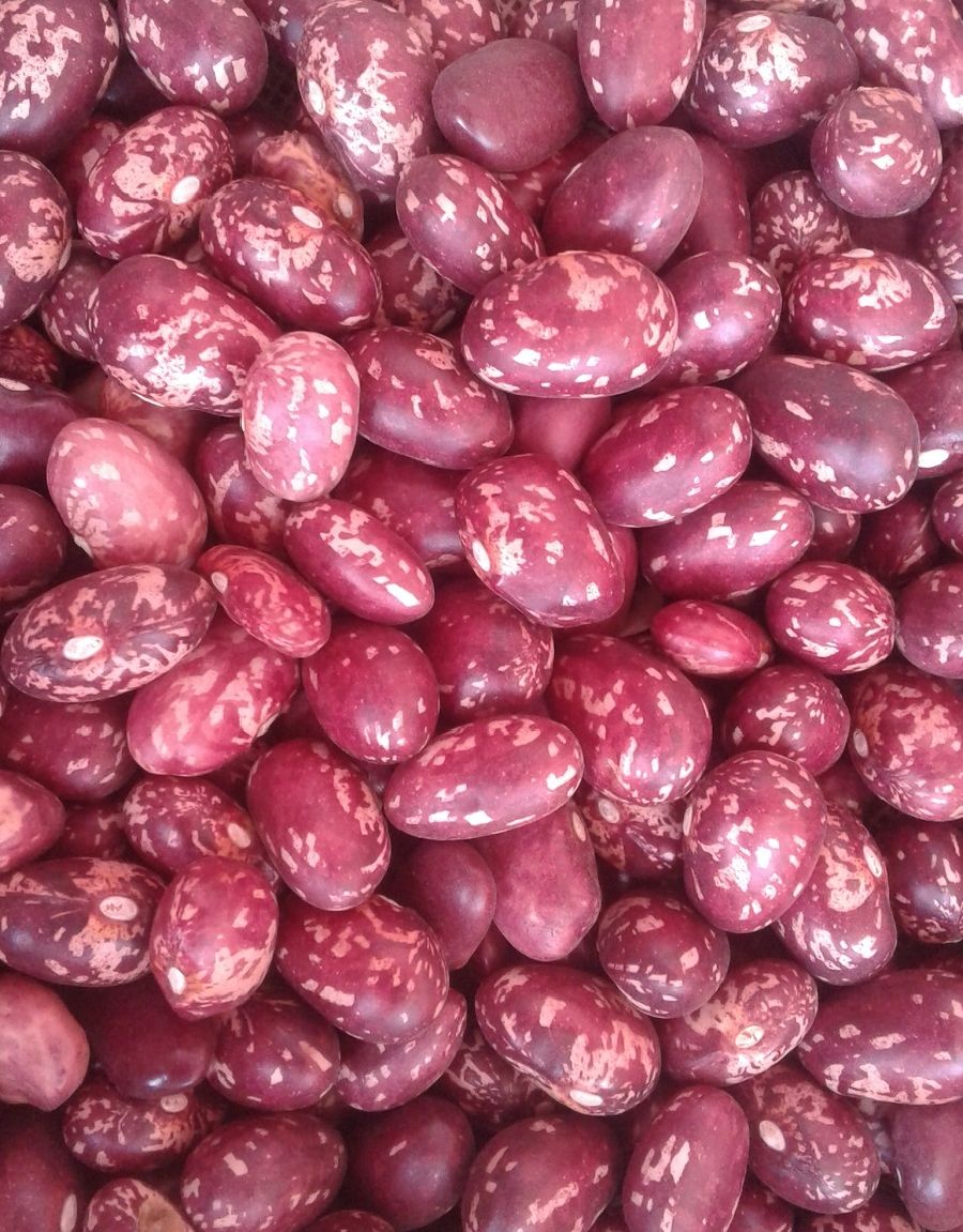 Wet Nyayo Beans(Fresh)