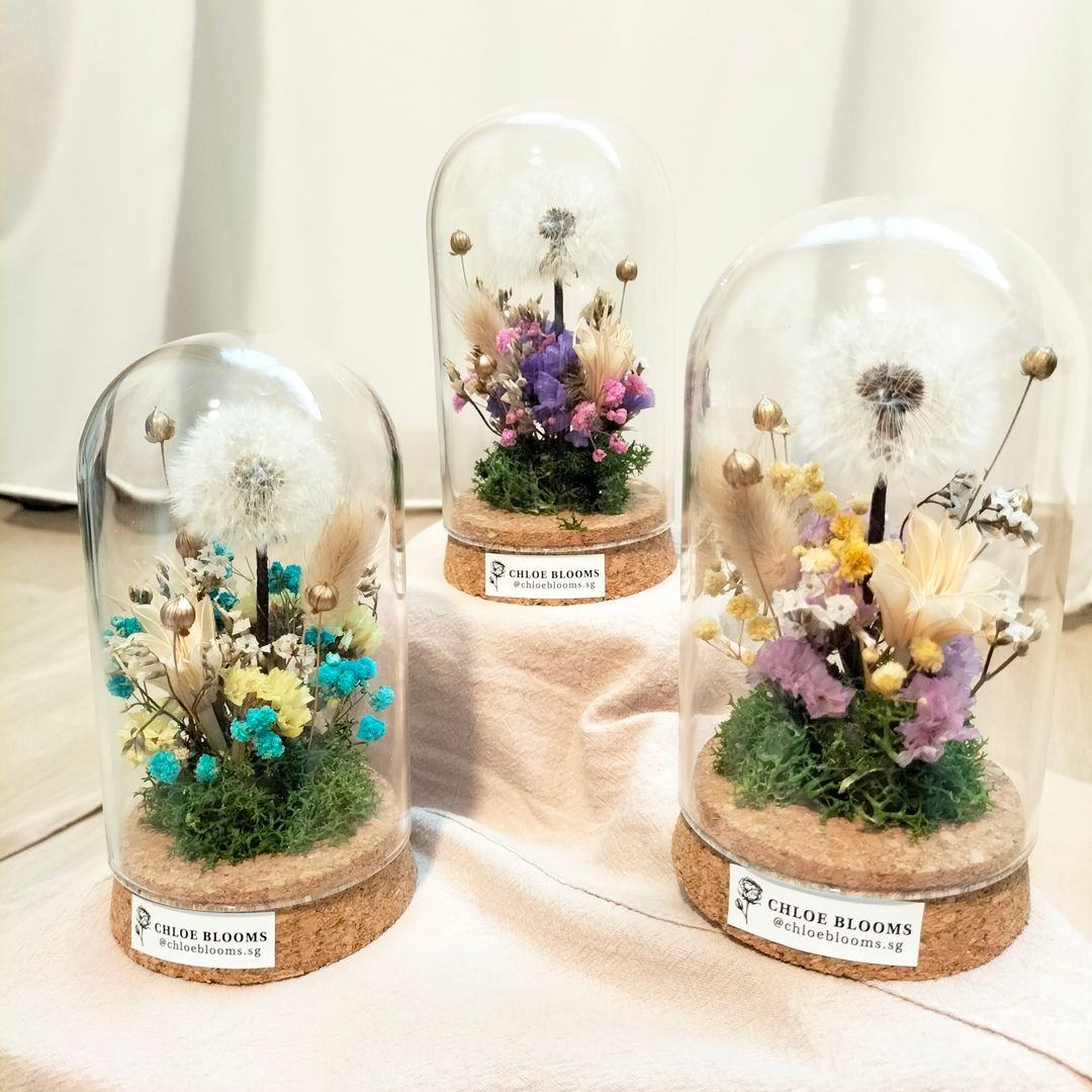 Preserved Dandelions Glass Dome