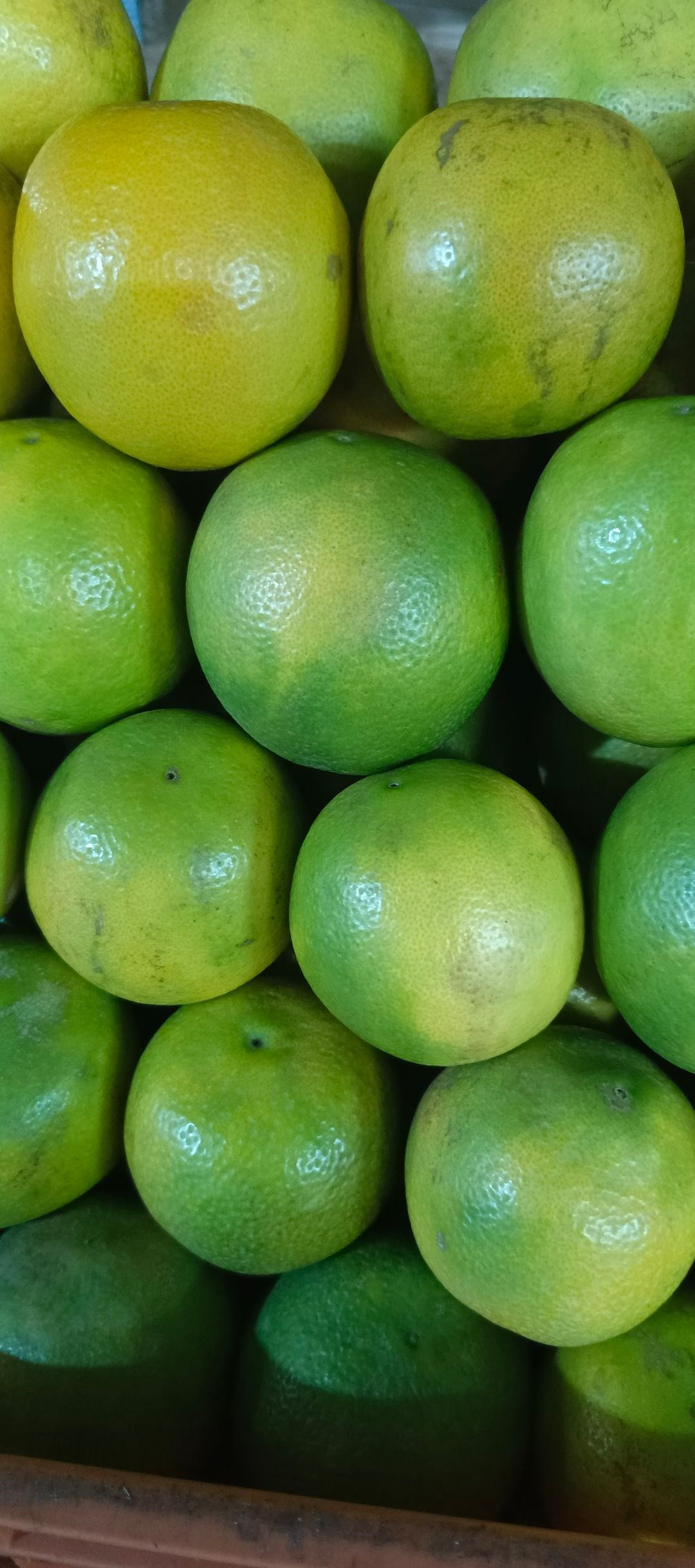 Local Oranges (Approx 7Pcs) Per Kg