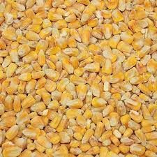 Whole Maize