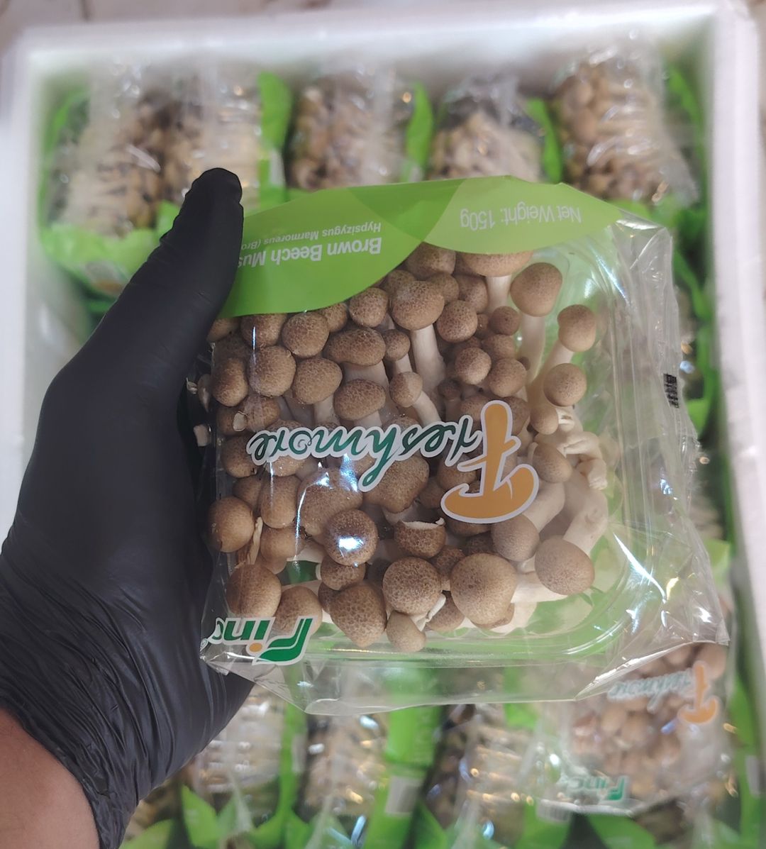  فطر صيني ابيض