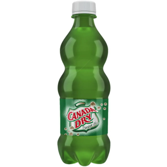 Canada Dry Ginger Ale 600ml
