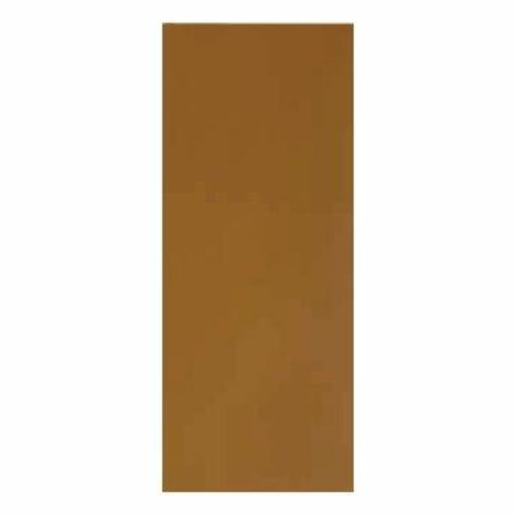 Masonite Door