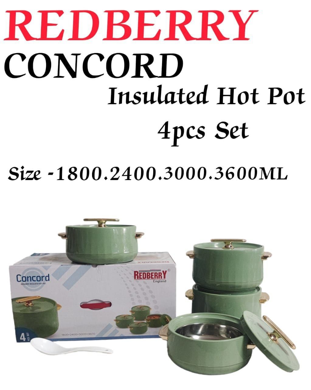 PLASTIC  DESIGNER HOTPOT CONCORD