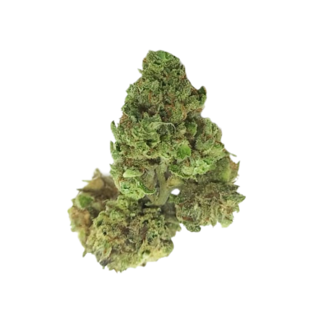 Durban Poison Popcorn Buds