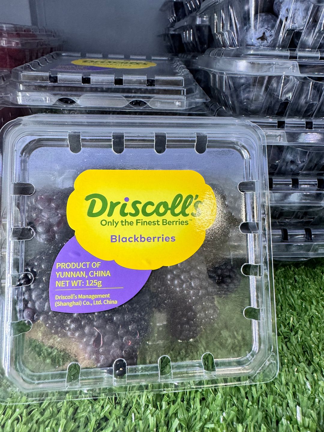 China Driscoll’s Blackberry 