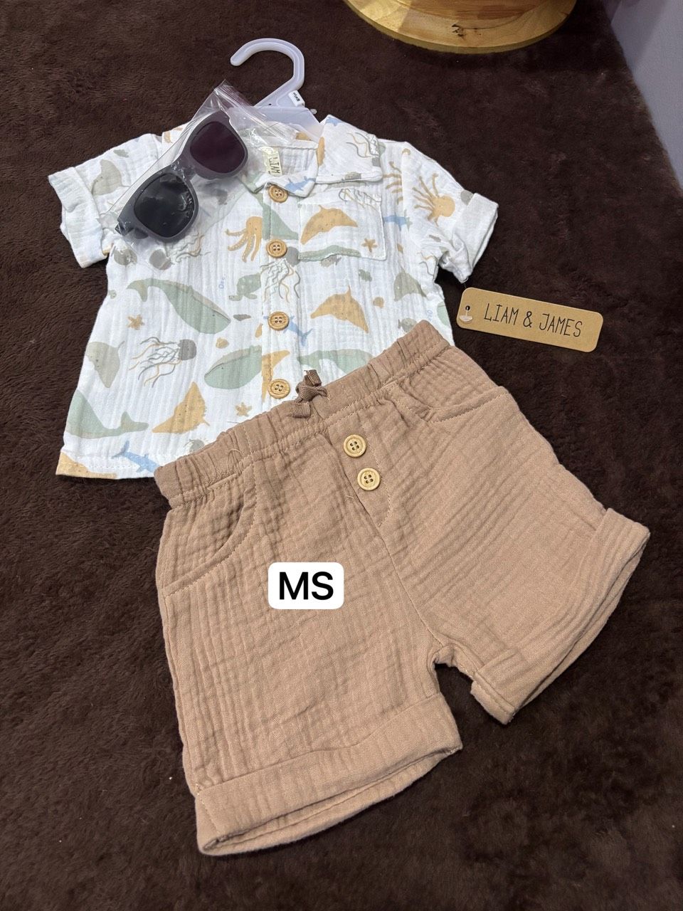 Playset Collar Rayban Brown