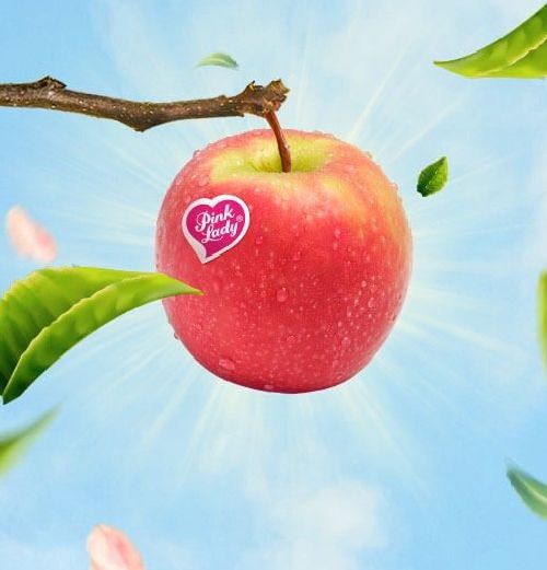 Pink lady apples