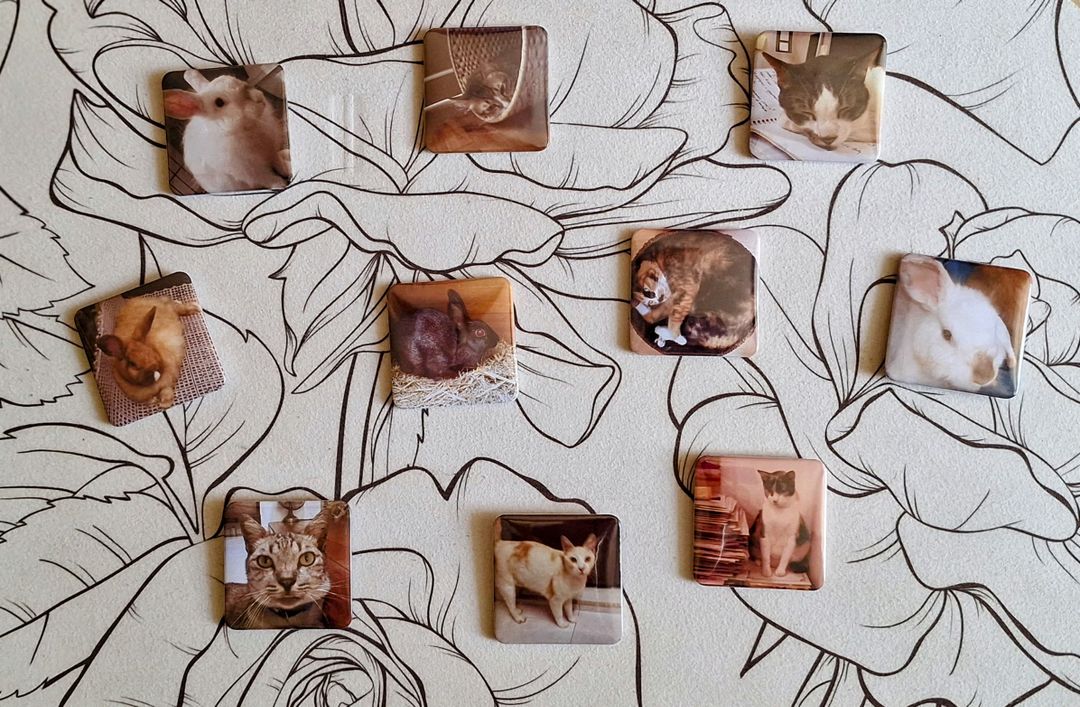 Photo Magnet