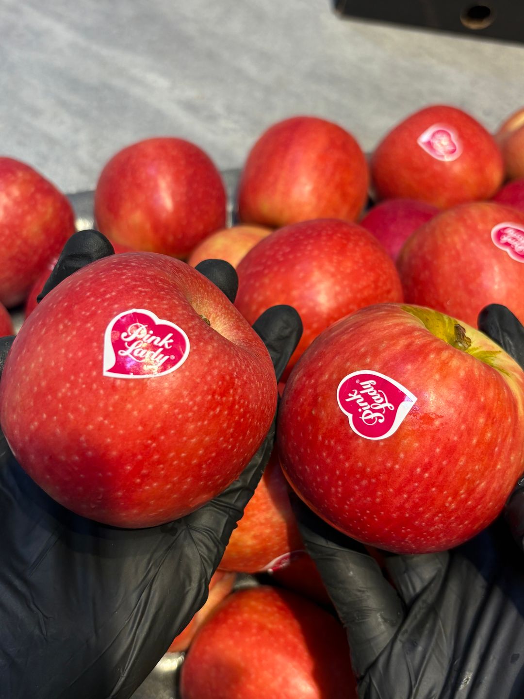 Pink lady apple 3pc