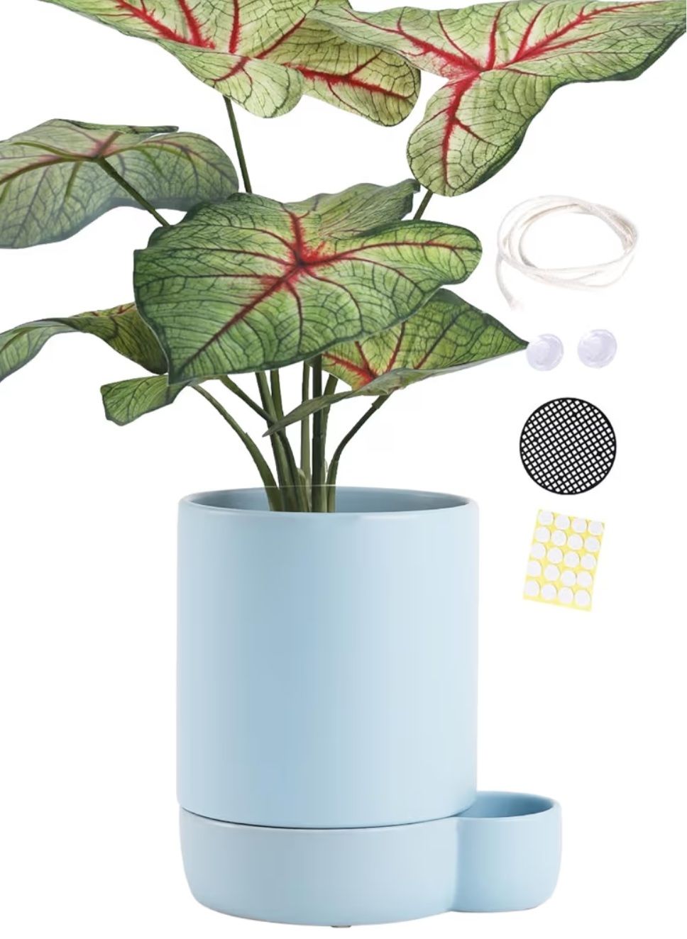 6" Ceramic Self-Watering Planter 
