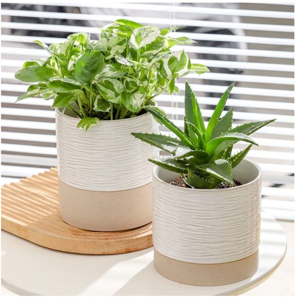6" Ceramic Self-Watering Planter 