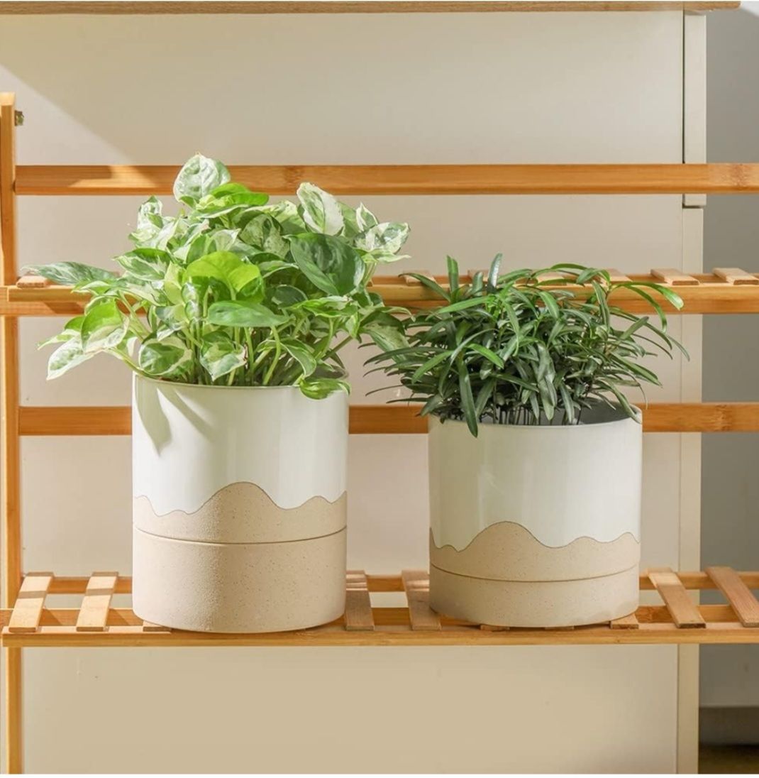 6" Ceramic Self-Watering Planter 
