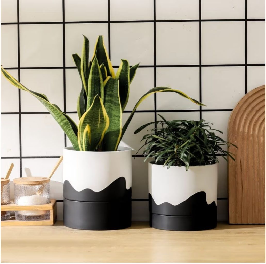 6" Ceramic Self-Watering Planter 
