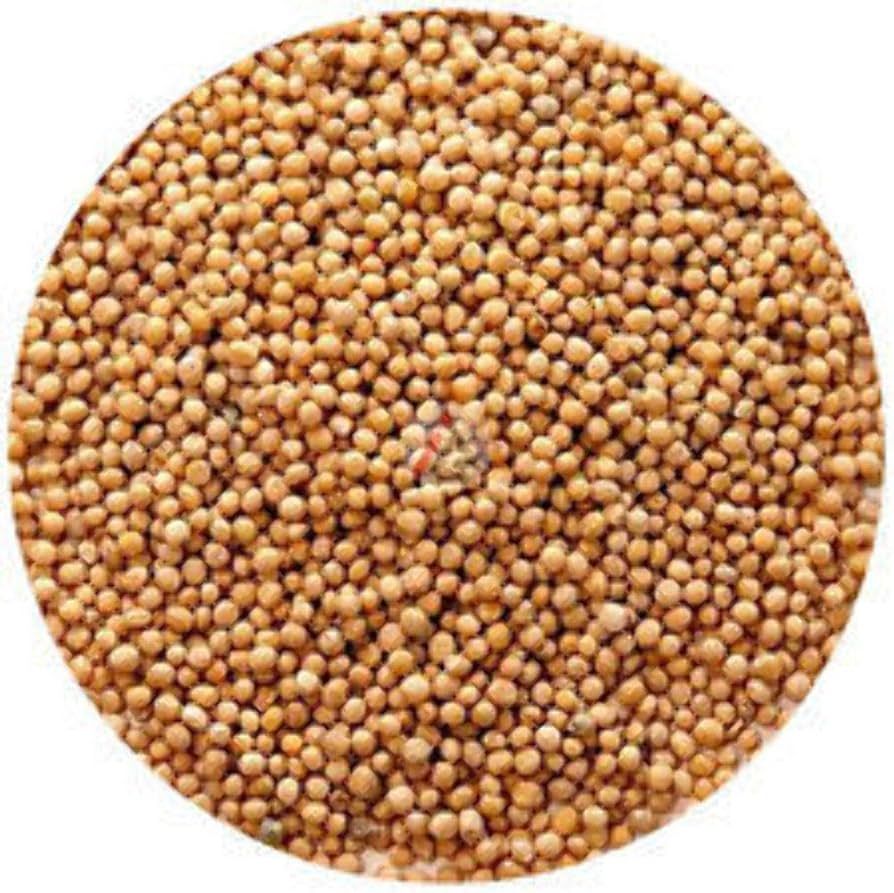 AFIA MUSTARD SEEDS 1X1 Kilogram (kg)