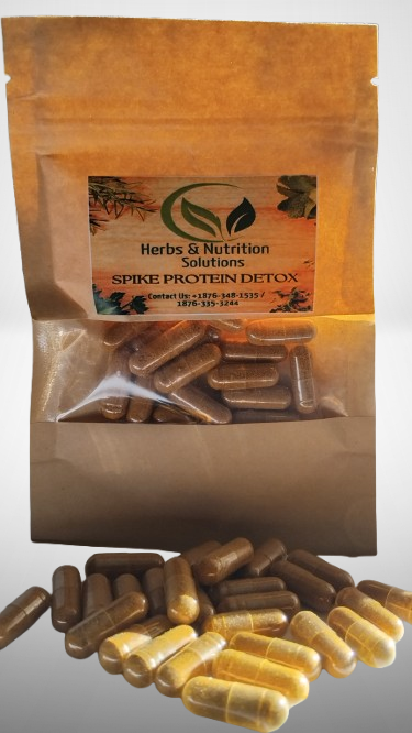 Spike Protein Detox