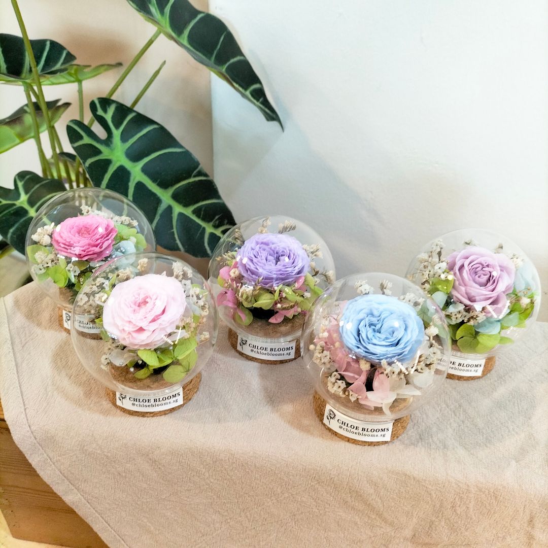 Mini Austin Rose Round Glass