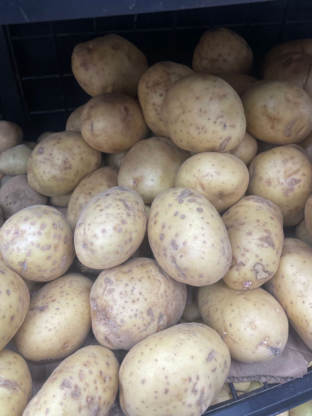 Pomme de terre importe /kg