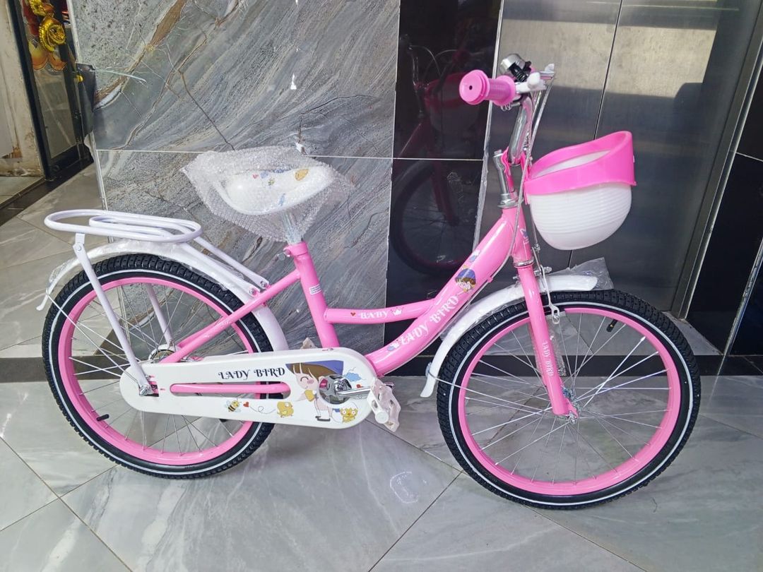 Girl Bike  Size 20-Lady bird