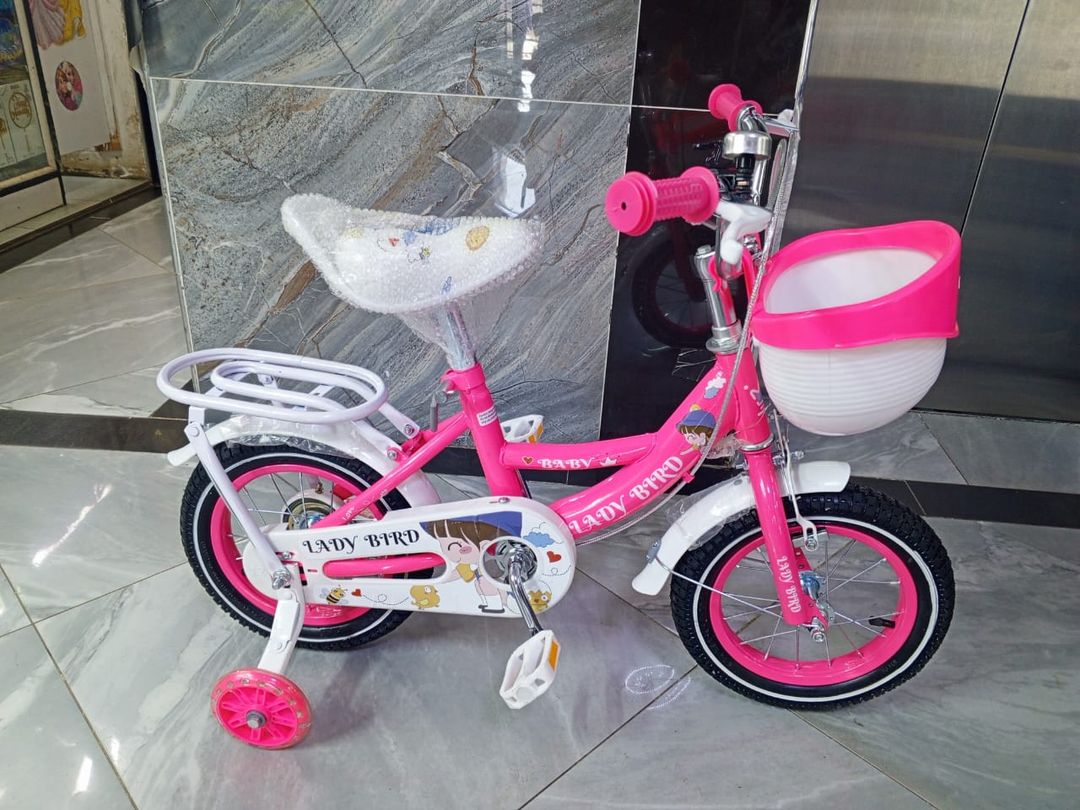 Girl Bike  Size 12 Lady bird 