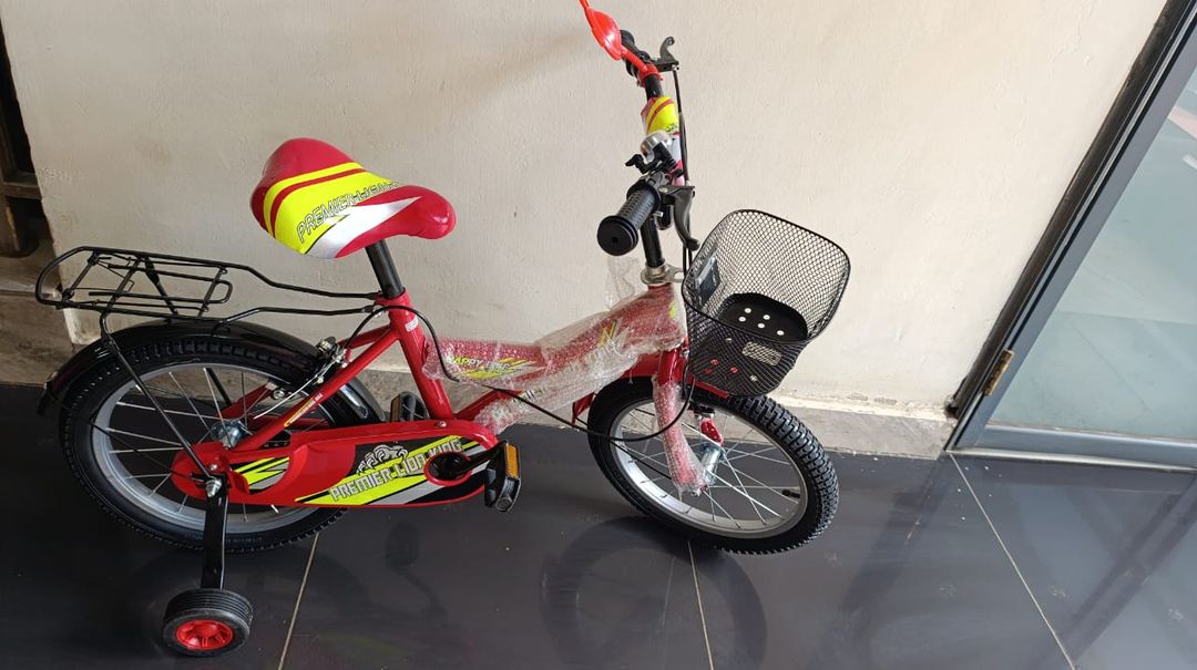 Kids bikes -Lion King Size 16
