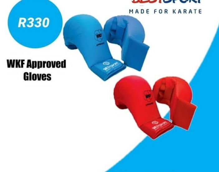 Karate mitts 