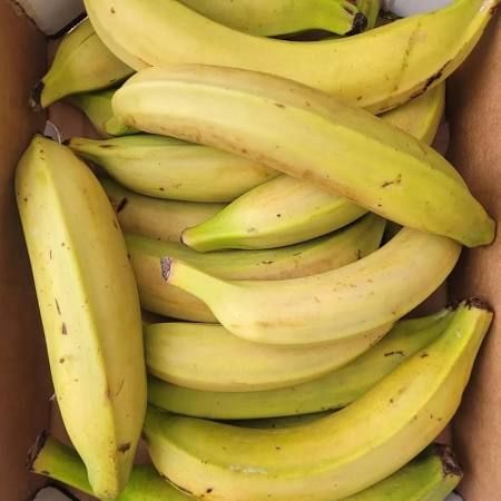 Ripe Plantain 