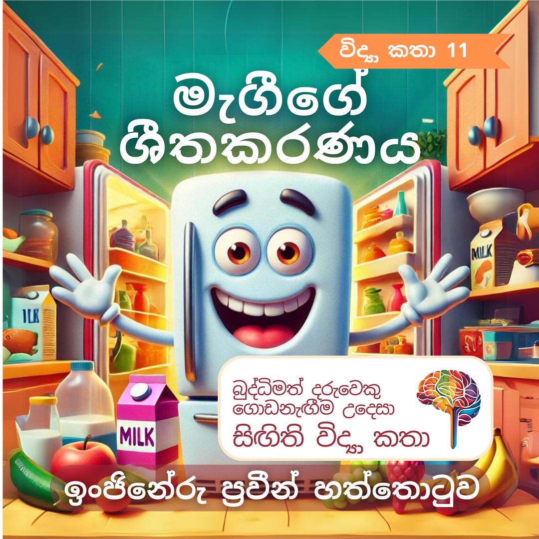 S11 - මැගීගේ ශීතකරණය