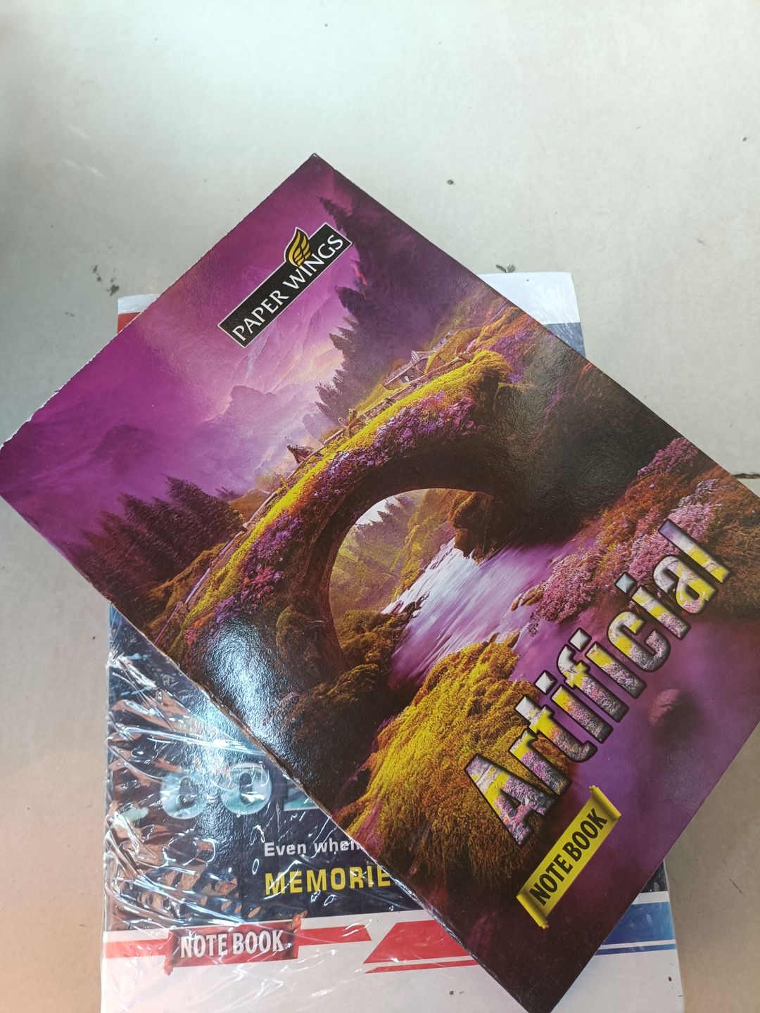 Paper wings 100 pages Book