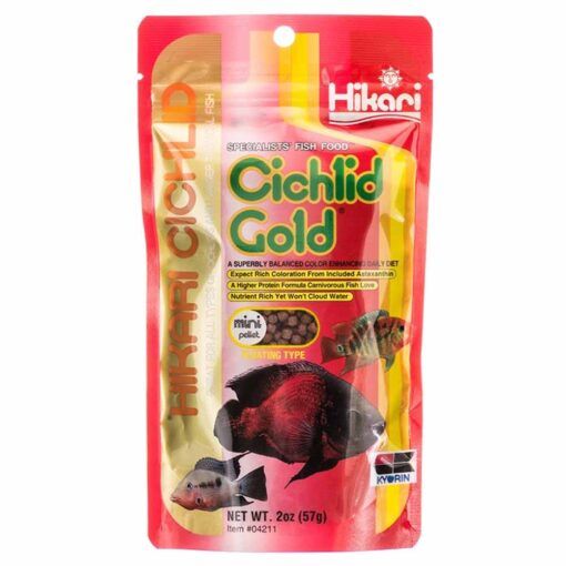 Hikari Cichlid Gold