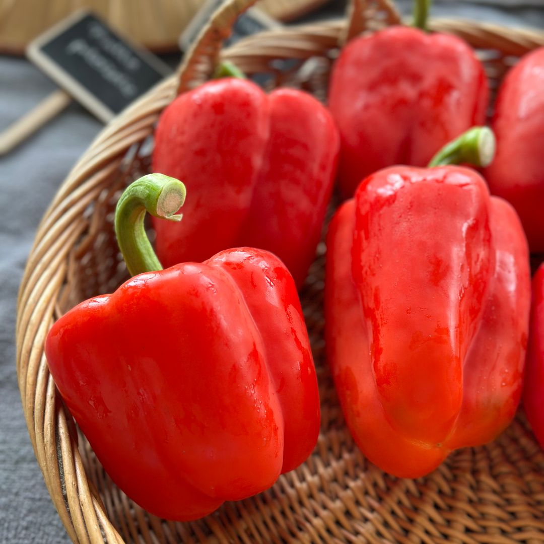 Paprika Rood Bio