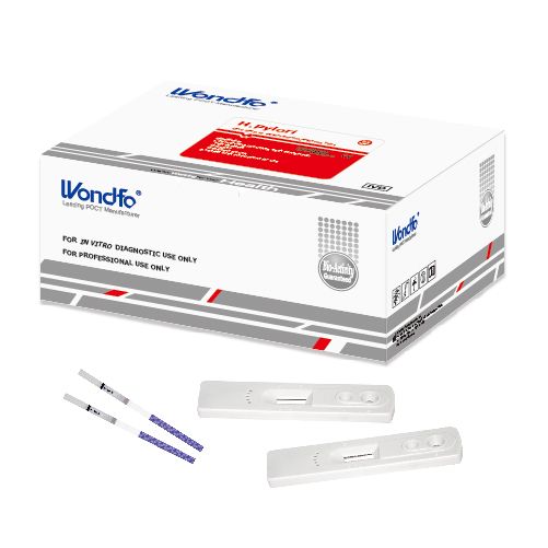 HELICOBACTER PYLORI ( H. PYLORI)