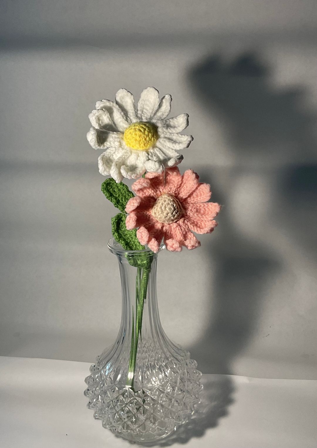 Daisy