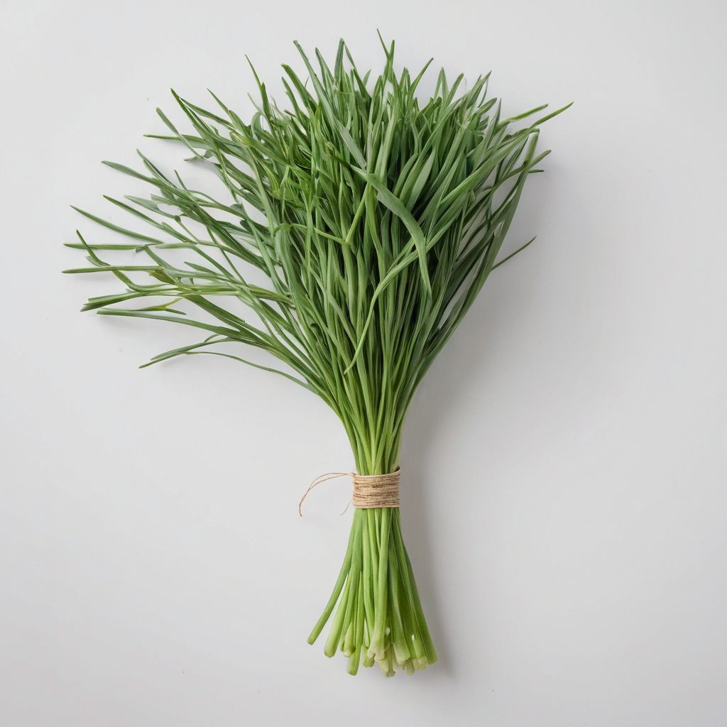 Garlic Chives per pack / Cebollinos de Ajo por paquete