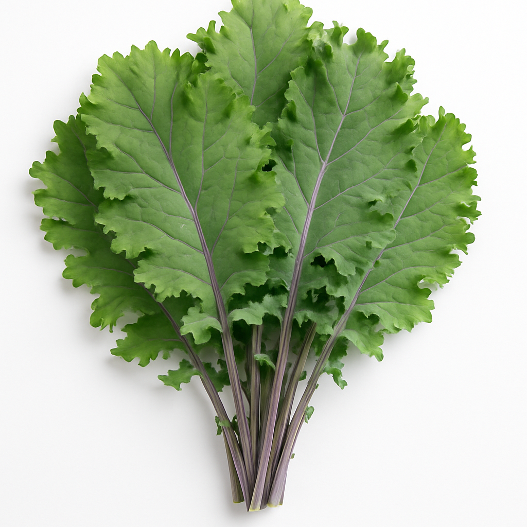 Russian Kale 1.5 / Kale Ruso 1.5 lb