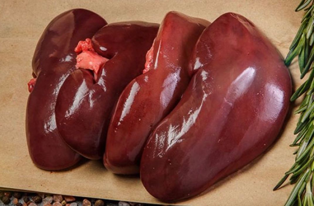 Beef Kidney 