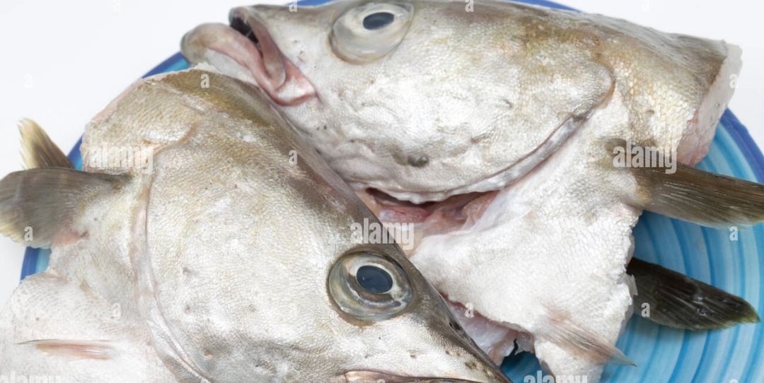 Fish Head lb 