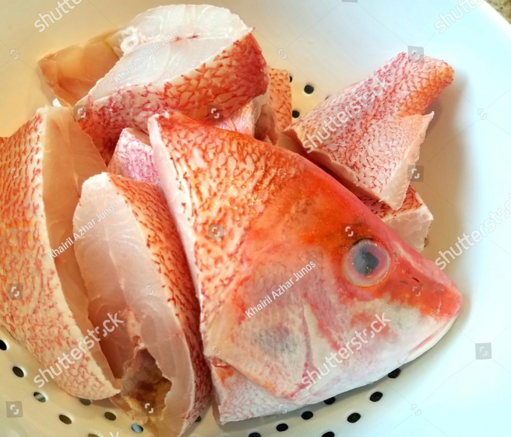 Fish cuttings 