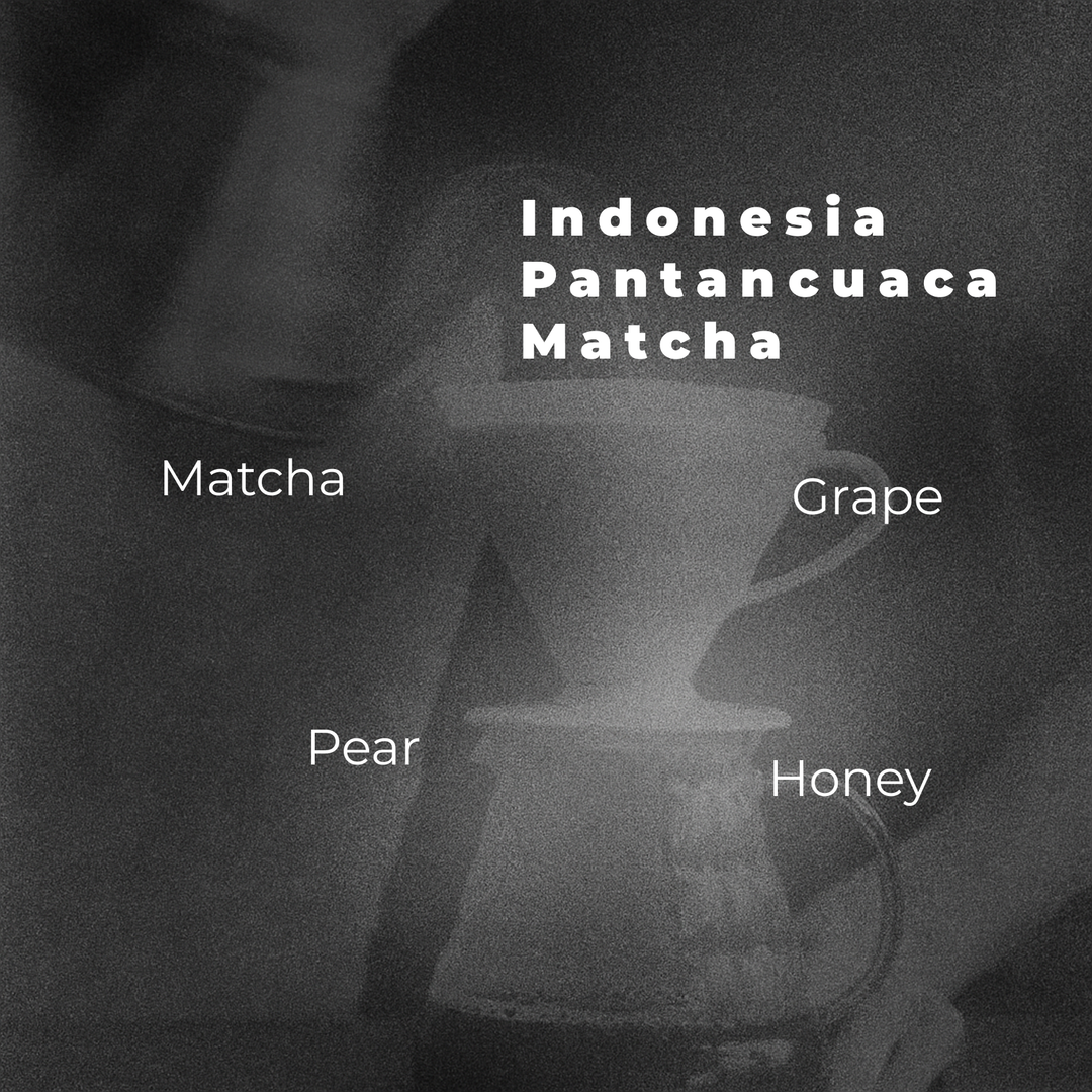 Indonesia Pantancuaca Matcha (Low Acidity - Balanced)