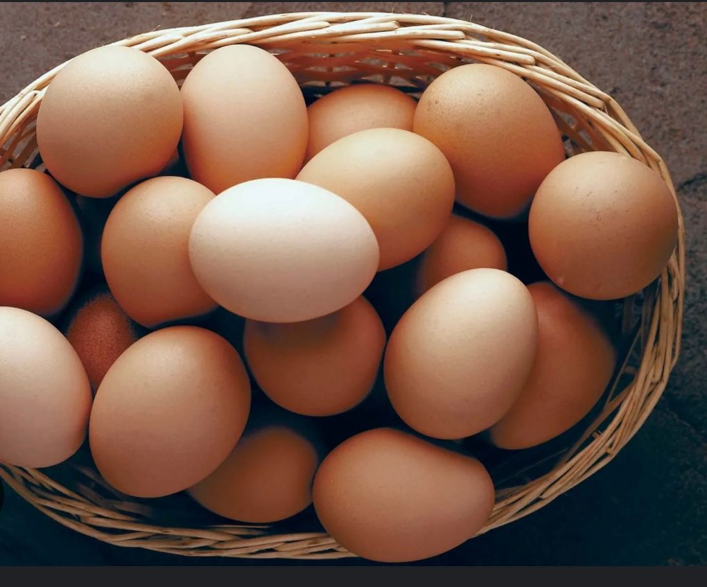 Eggs 