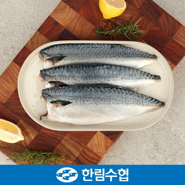 수협 제주 고등어 Jeju Mackere 180g*2