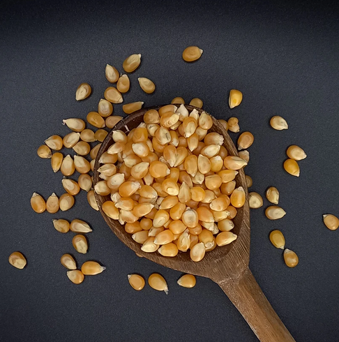 Popcorn – Yellow (500g) / Palomitas de Maíz – Amarillas (500g)