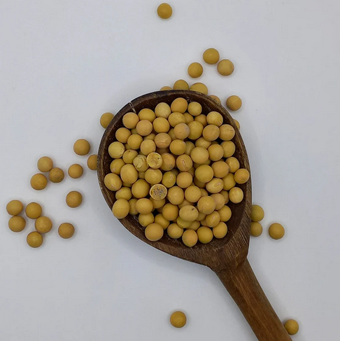 Soybeans / Soya - 500g